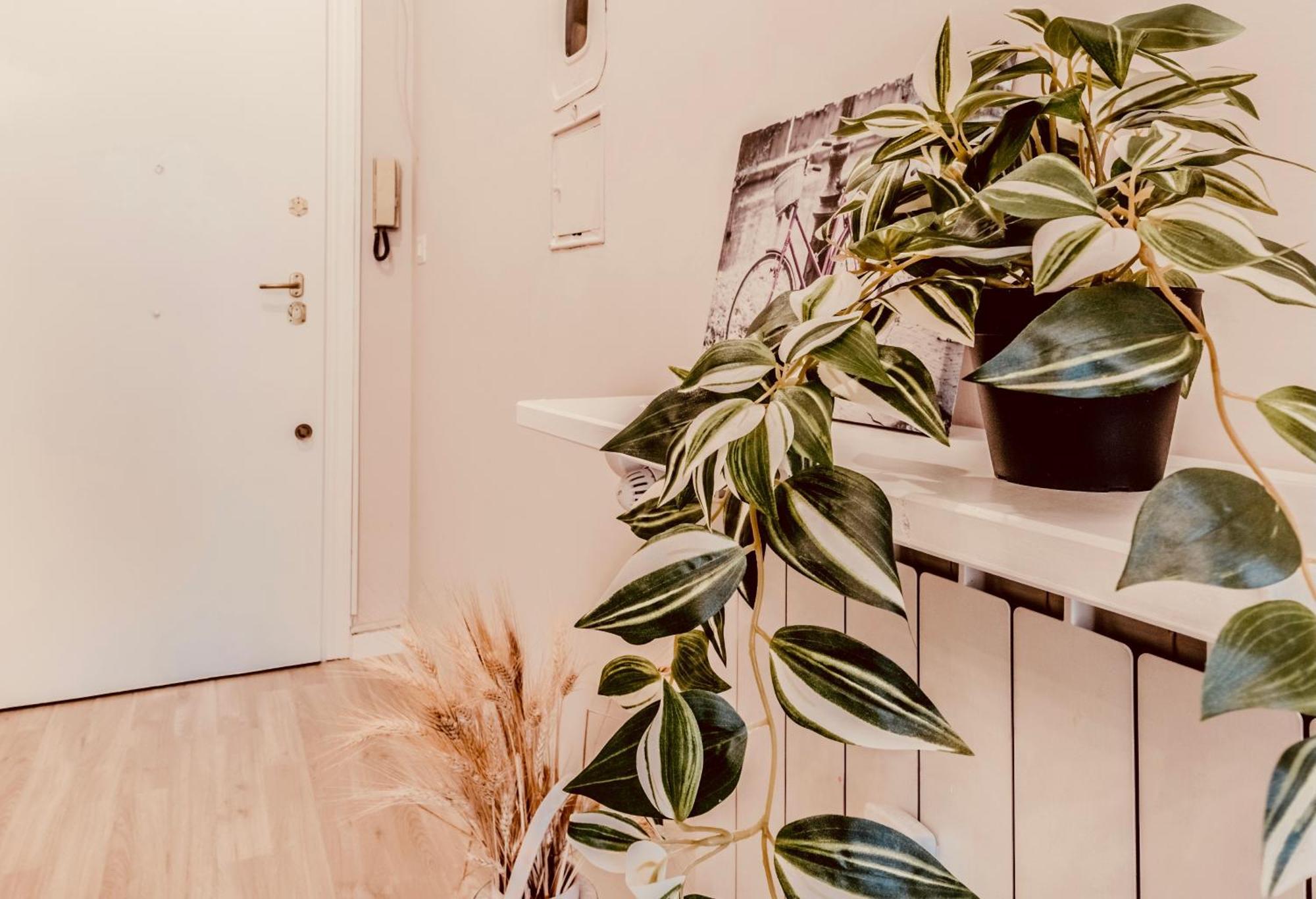 Domus Eleonora Appartement Rome Buitenkant foto